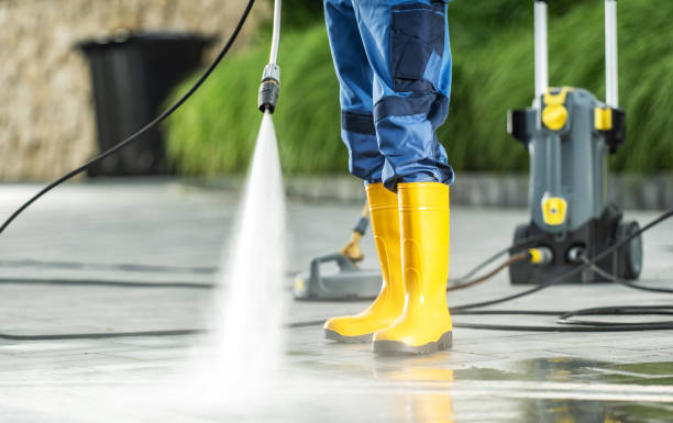 Best Pressure Washing Near Me  in Palmetto, FL